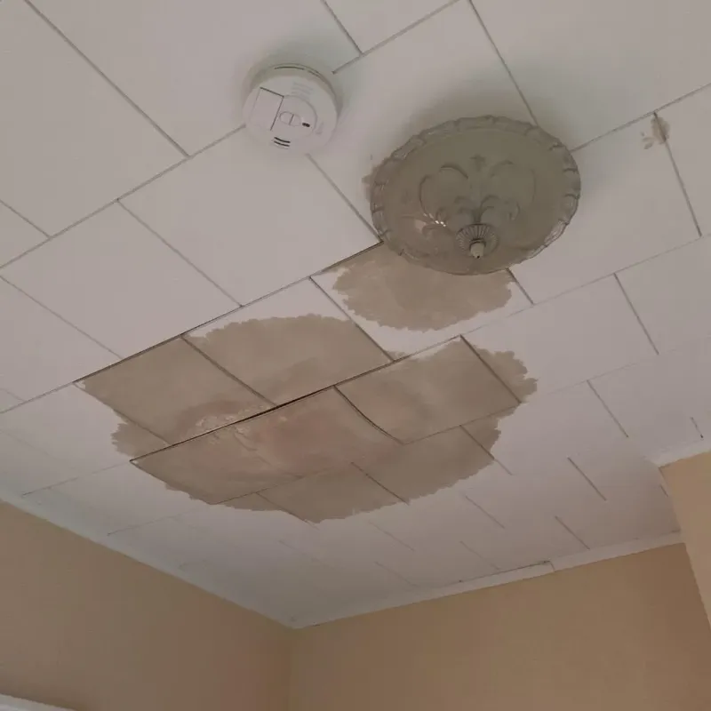 Ceiling Water Damage Repair in Calvert, TX