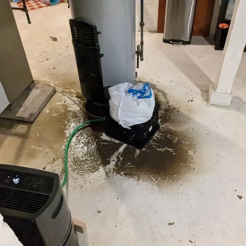 Sewage Backup Cleanup Service in Calvert, TX